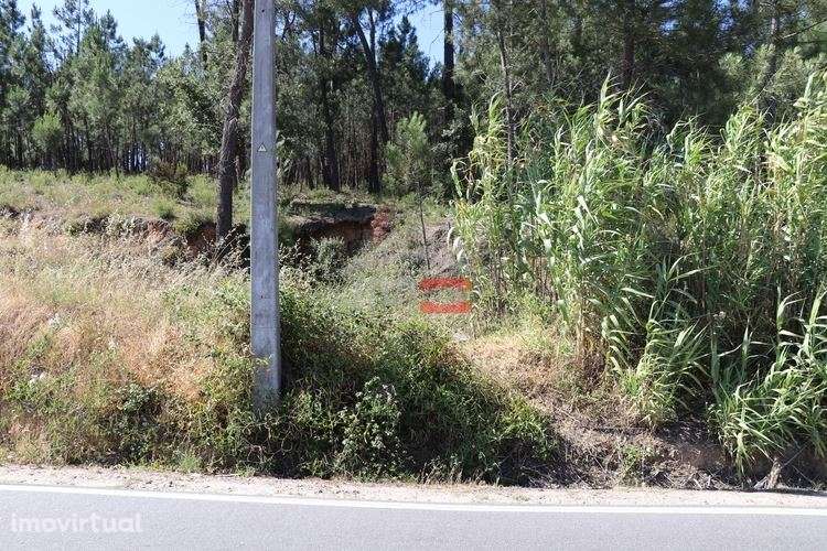 Terreno - Grande imagem: 5/10