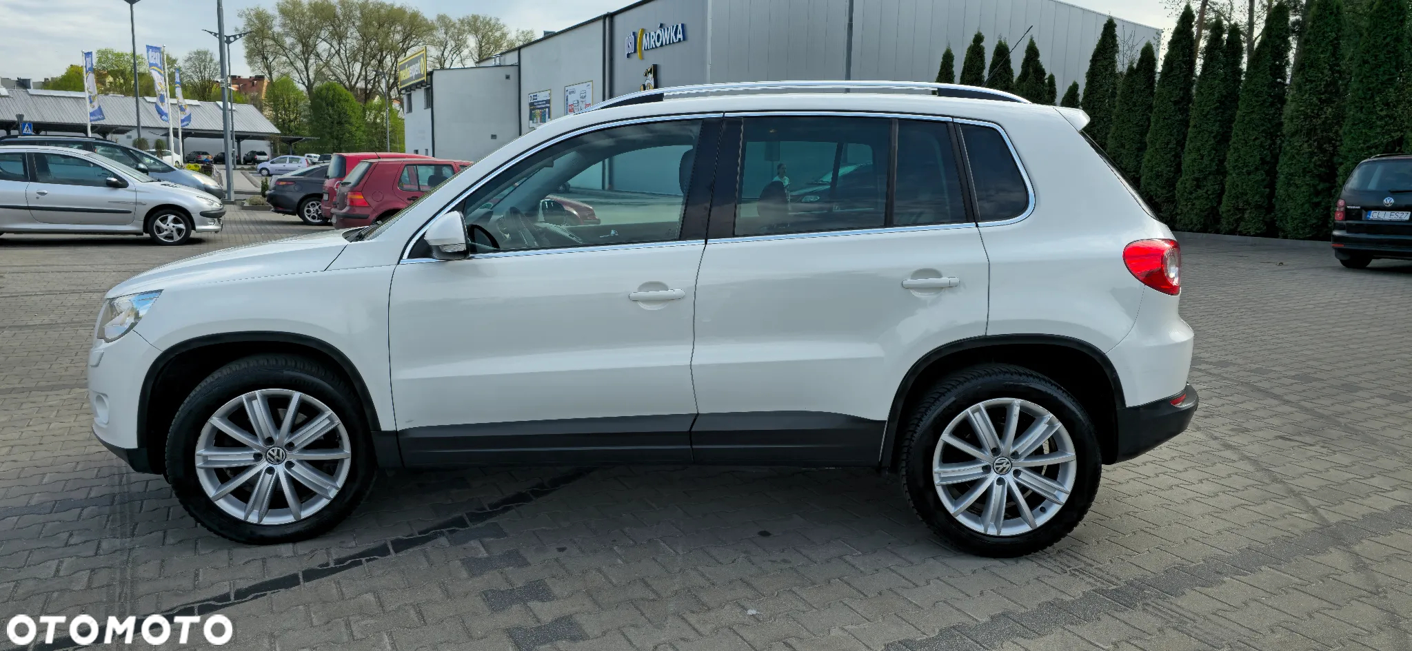 Volkswagen Tiguan 2.0 TDI DPF 4Motion Exclusive - 5