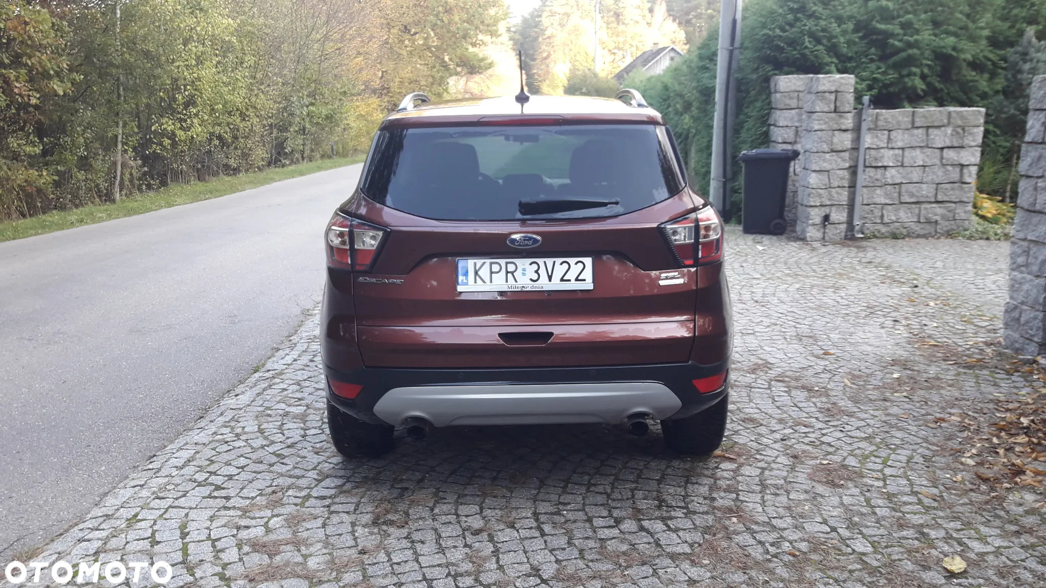 Ford Escape 1.5 EcoBoost AWD SE - 16