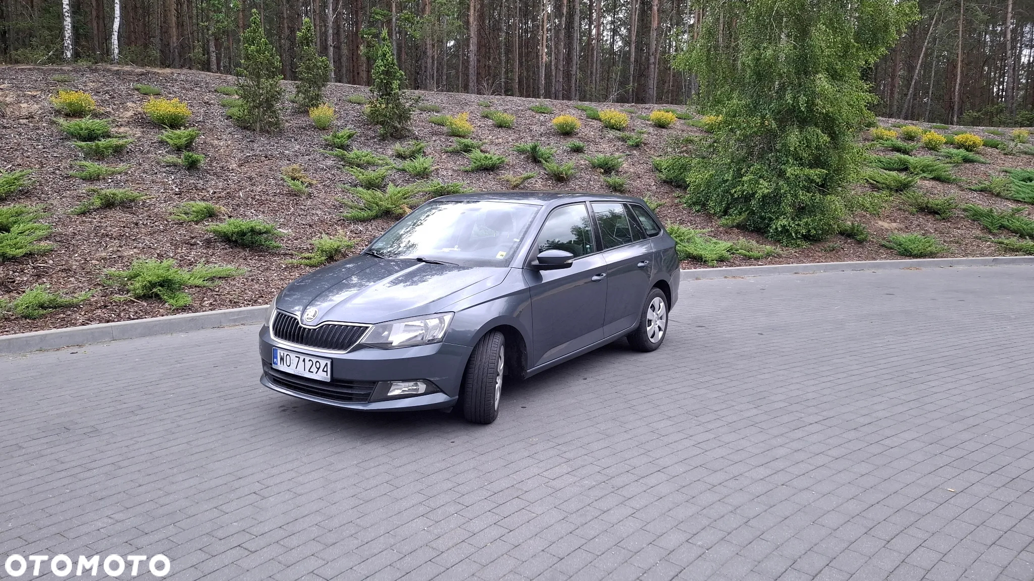 Skoda Fabia 1.4 TDI Ambition - 6