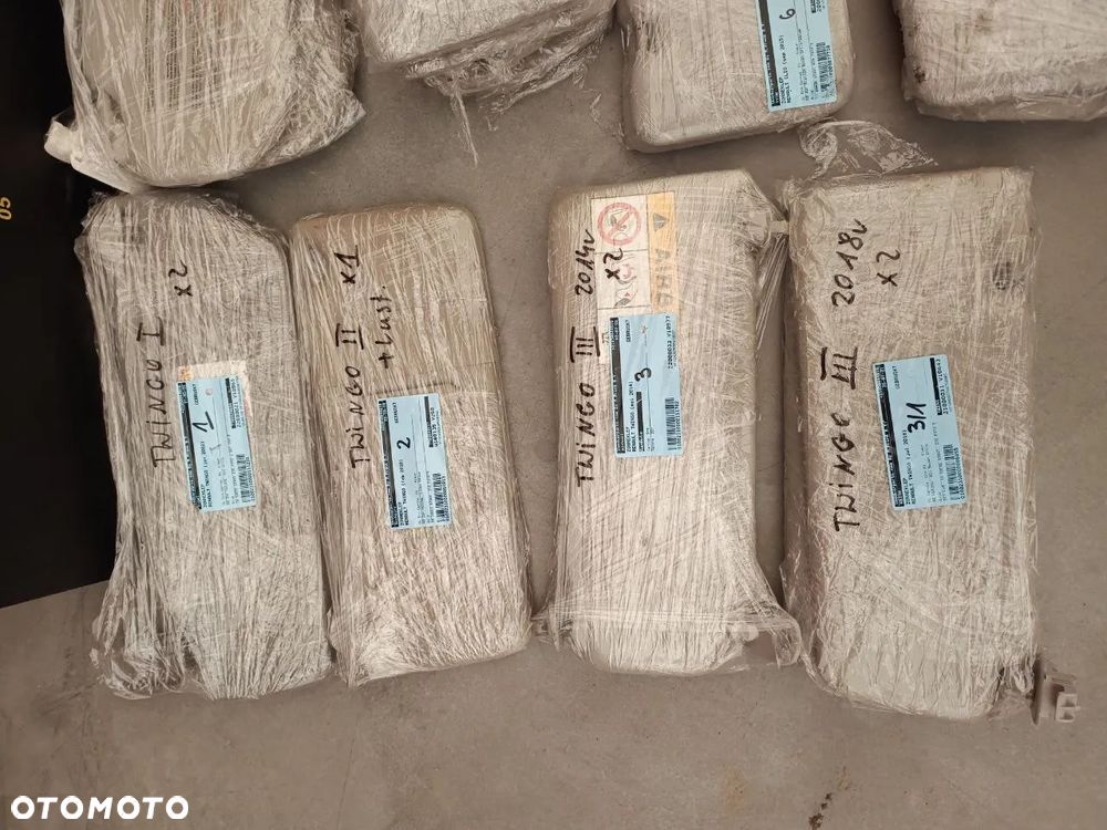 SŁONECZNIKI  RENAULT - 2