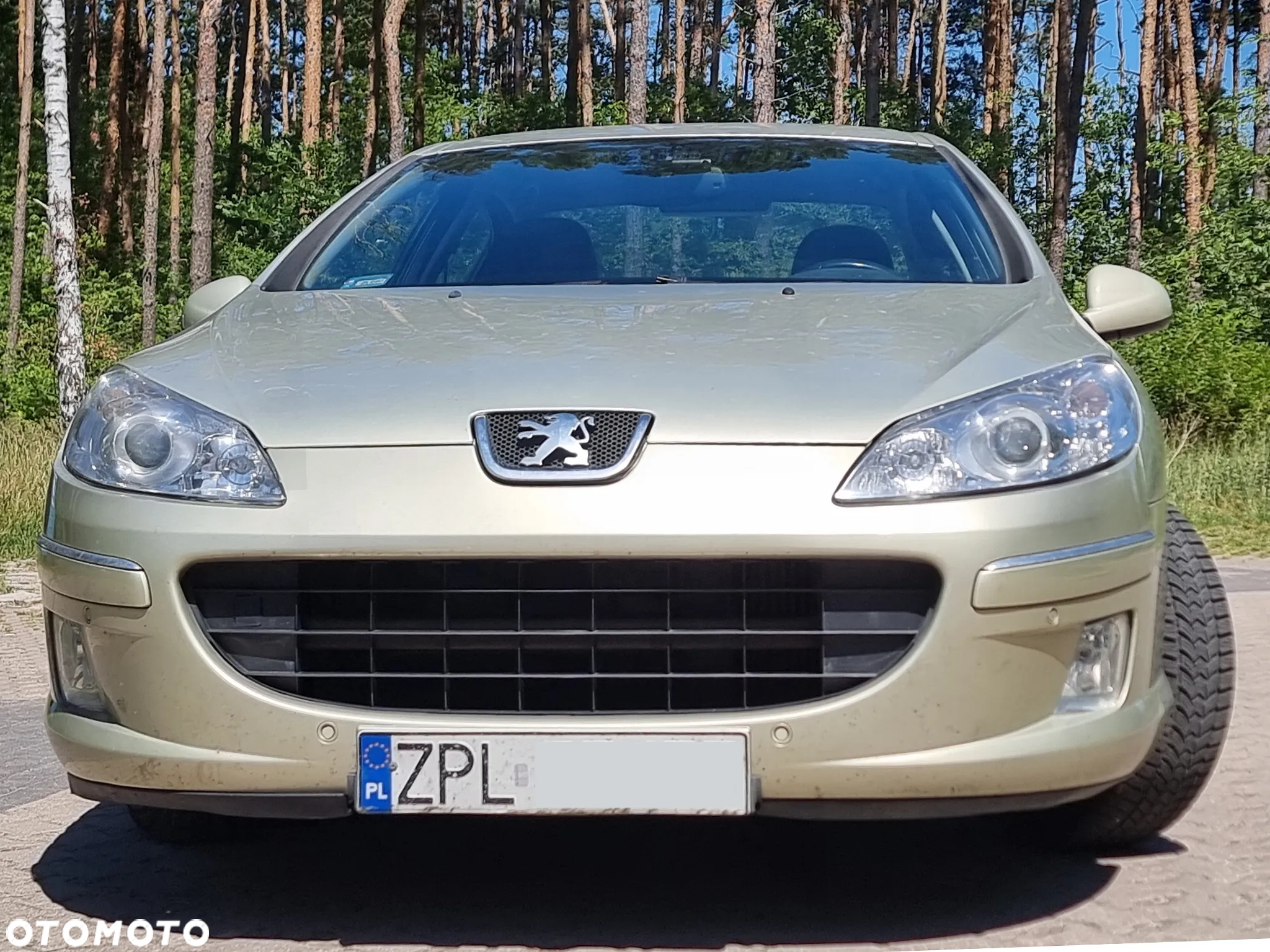 Peugeot 407 2.0 HDi Premium Navtech - 2
