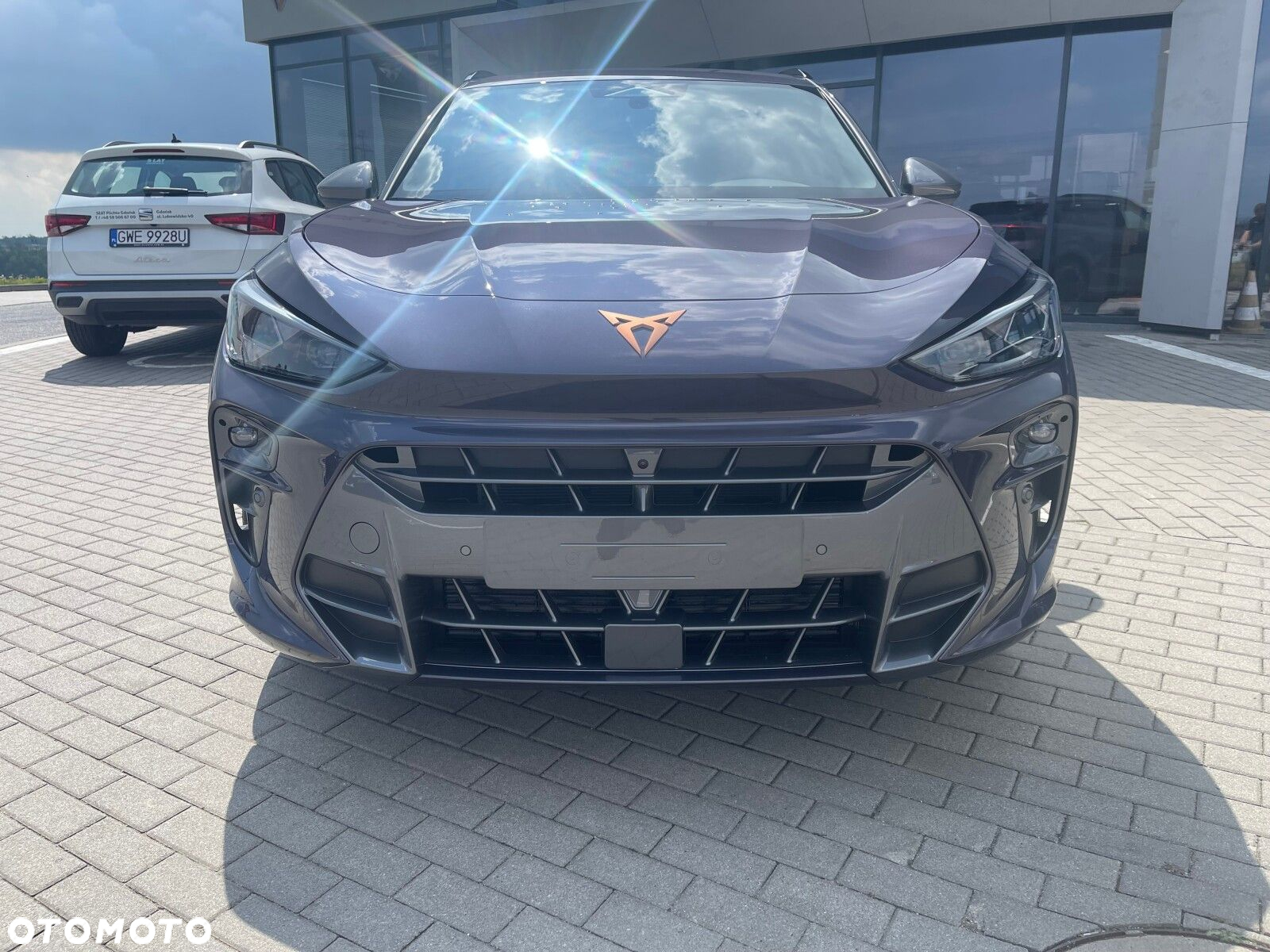 Cupra Terramar - 3
