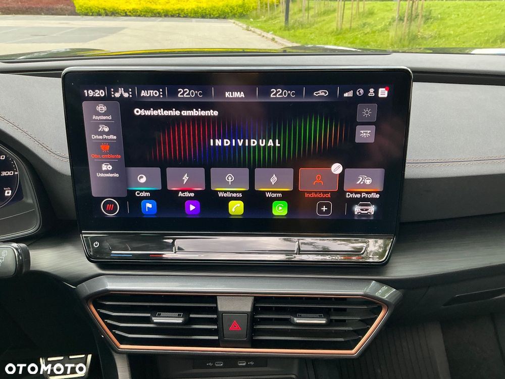 Cupra Formentor VZ 2.0 TSI 4Drive DSG - 24