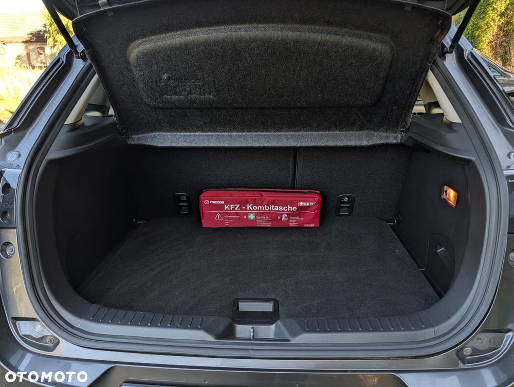 Mazda CX-3 SKYACTIV-G 120 FWD Kizoku Intense - 19