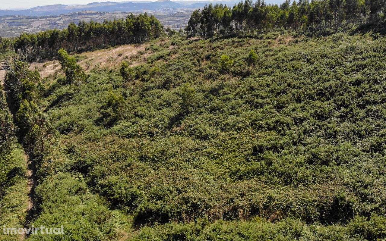 Terreno  para venda - Grande imagem: 3/20