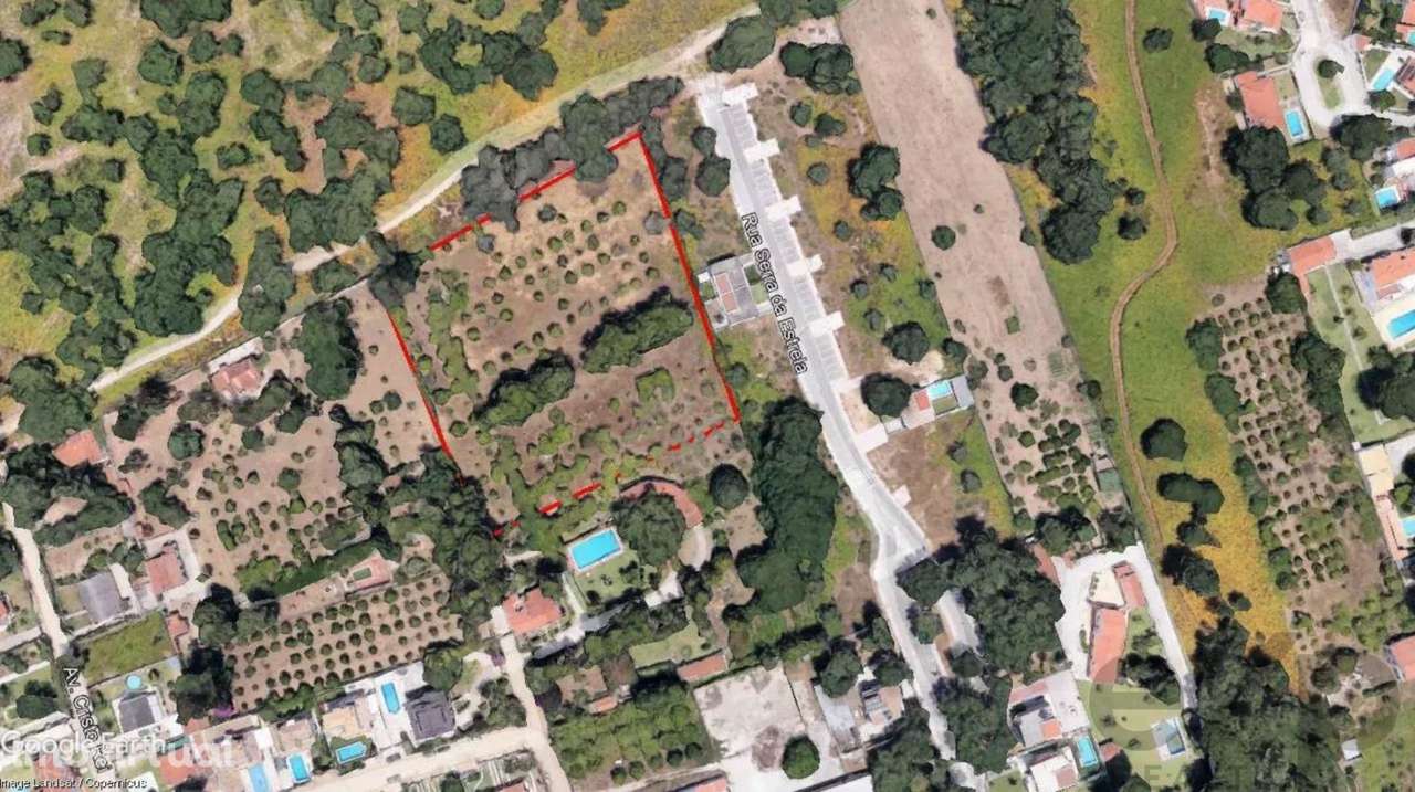 Terrenos com projeto aprovado - Grande imagem: 3/21