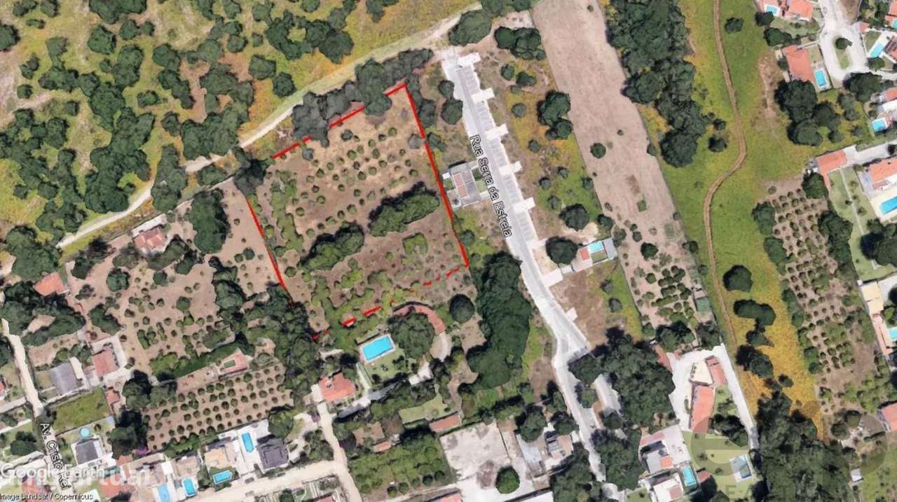 Terrenos com projeto aprovado - Grande imagem: 5/21