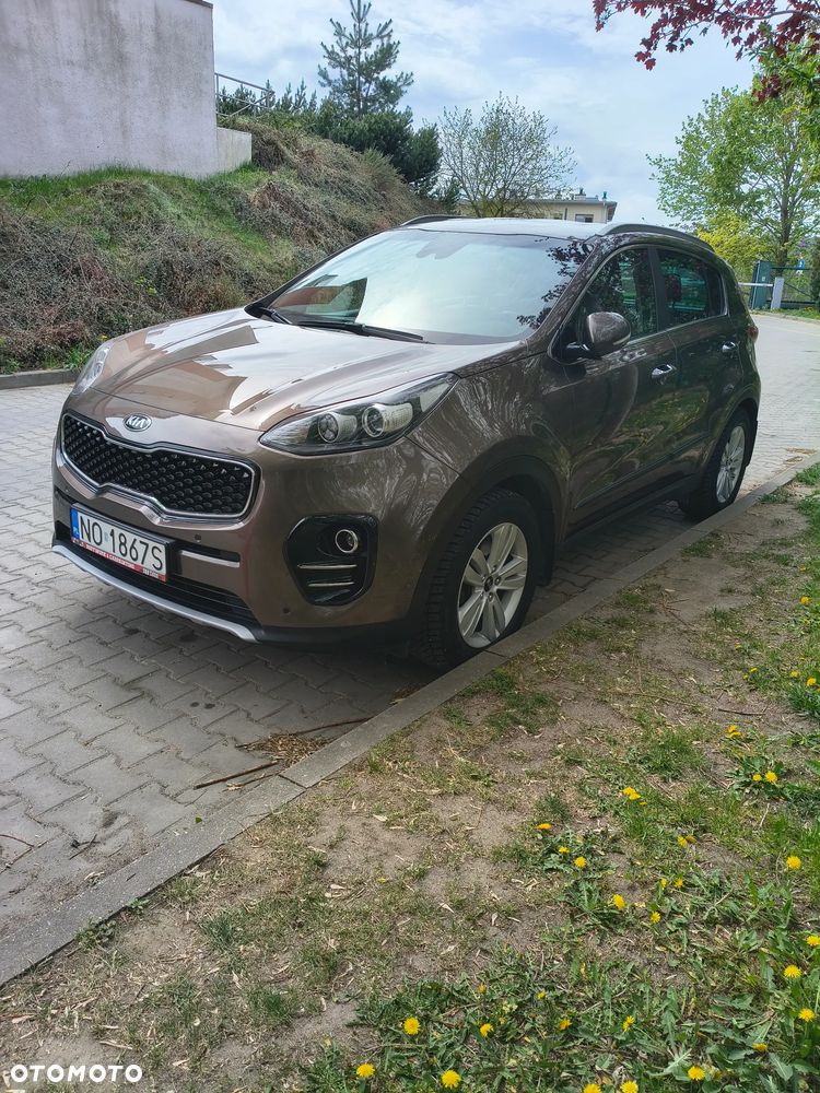 Kia Sportage 1.6 T-GDI Business Line 2WD - 2