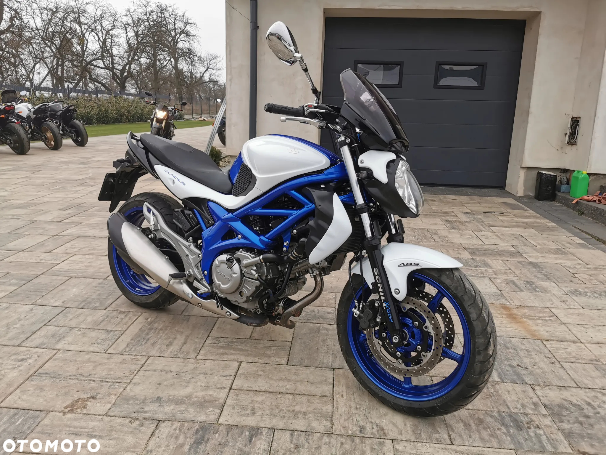Suzuki Gladius - 27