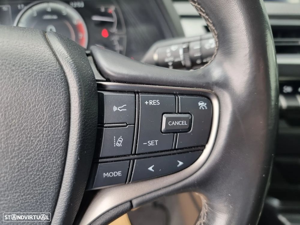 Lexus UX 250h Executive+ - 10