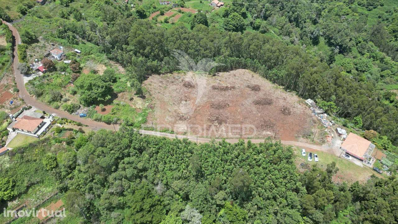 Terreno 7.220 m² plano no Santo da Serra – Ideal para Turismo Rural... - Grande imagem: 2/12