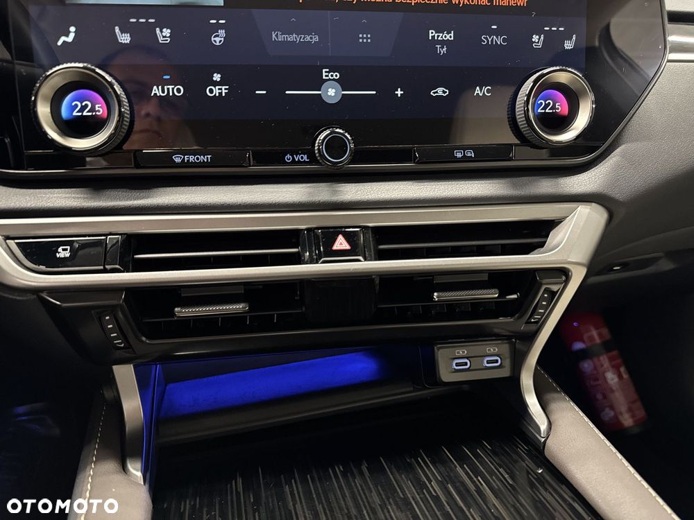 Lexus RX - 20