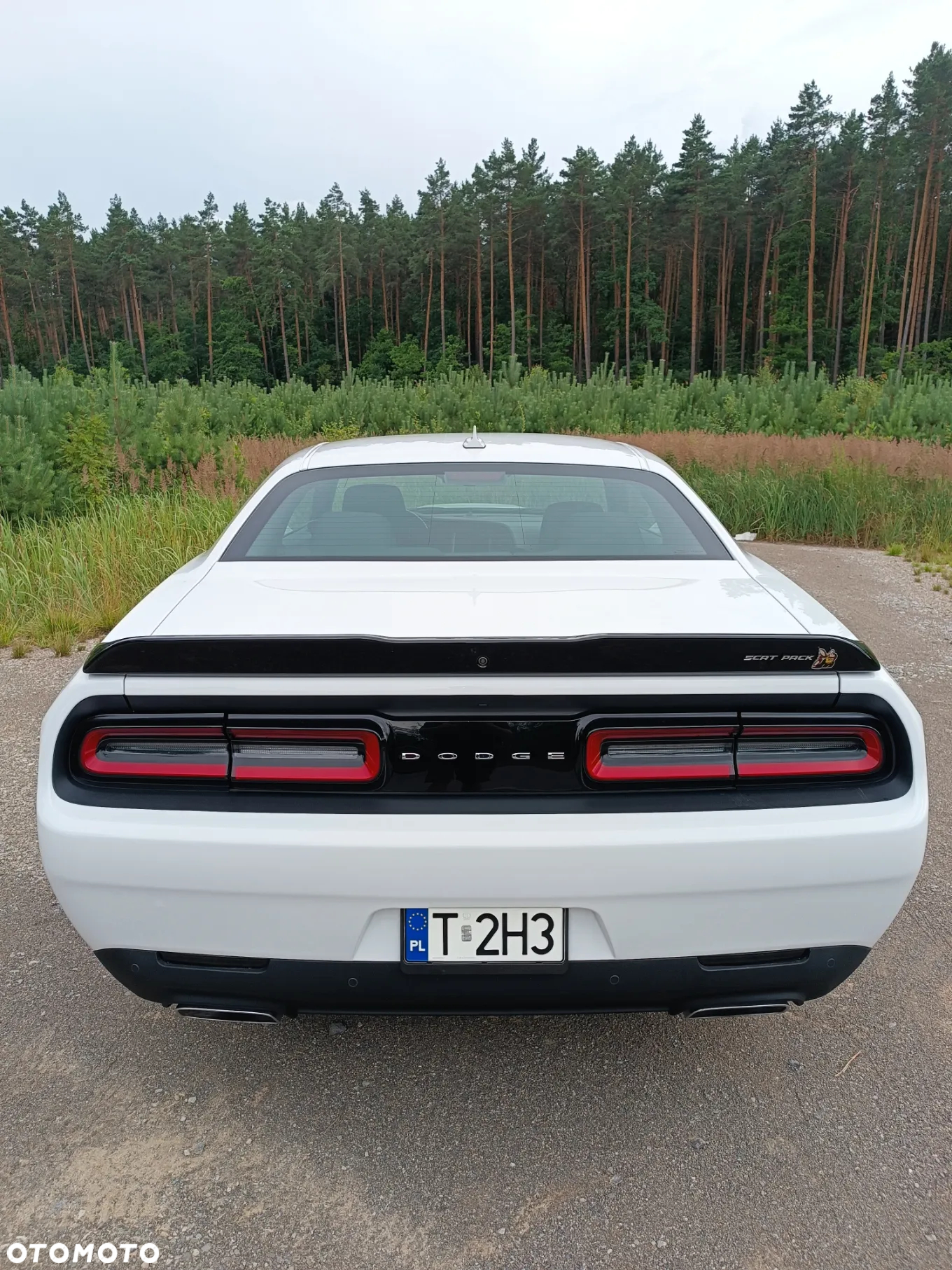 Dodge Challenger 6.4 Scat Pack - 8