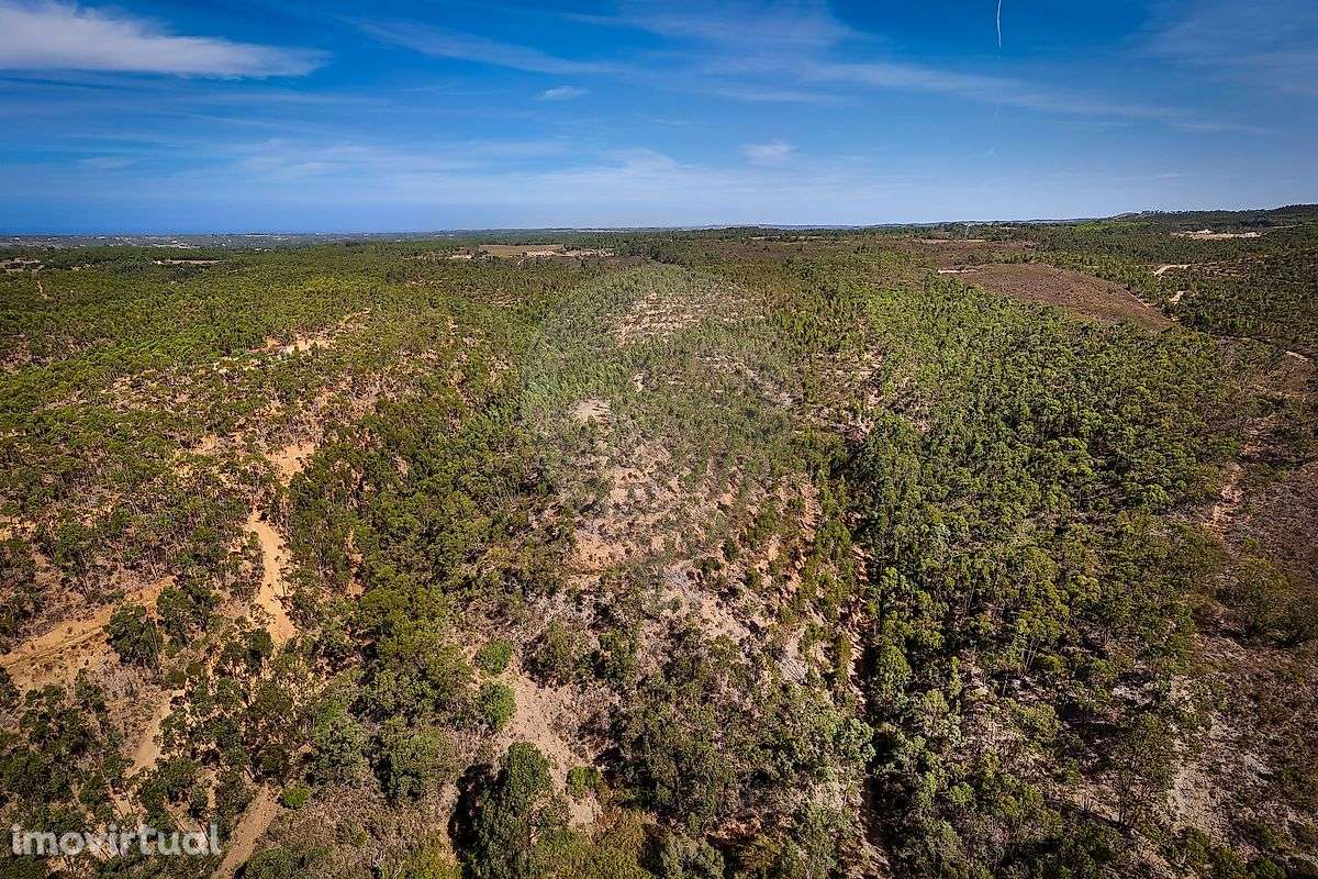 Terreno  para venda - Grande imagem: 4/10