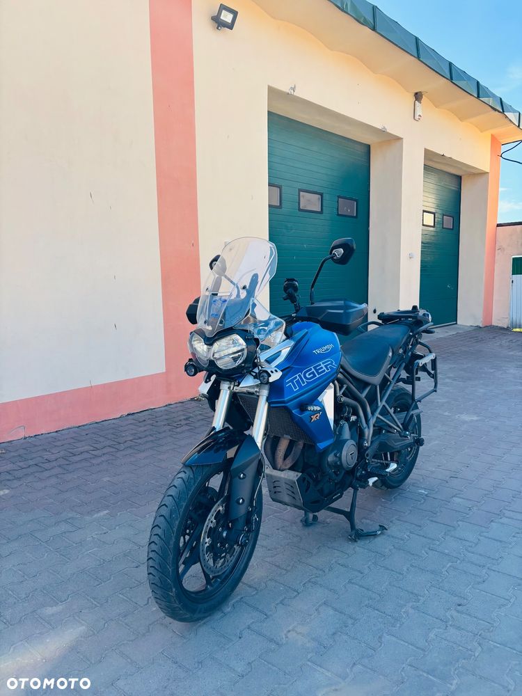 Triumph Tiger - 1