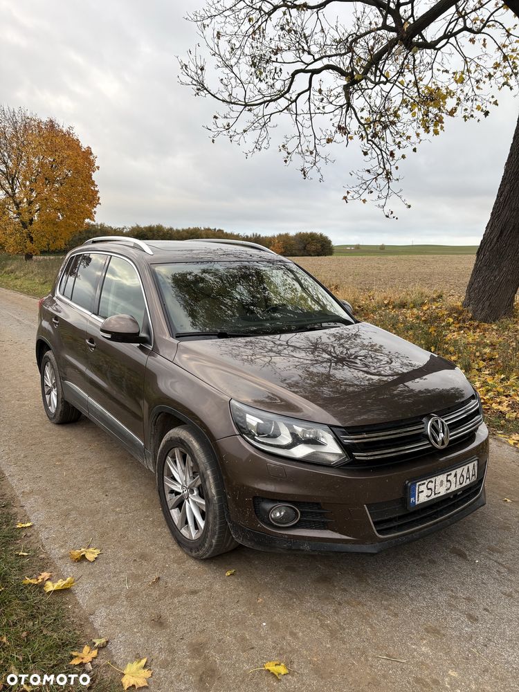Volkswagen Tiguan - 1
