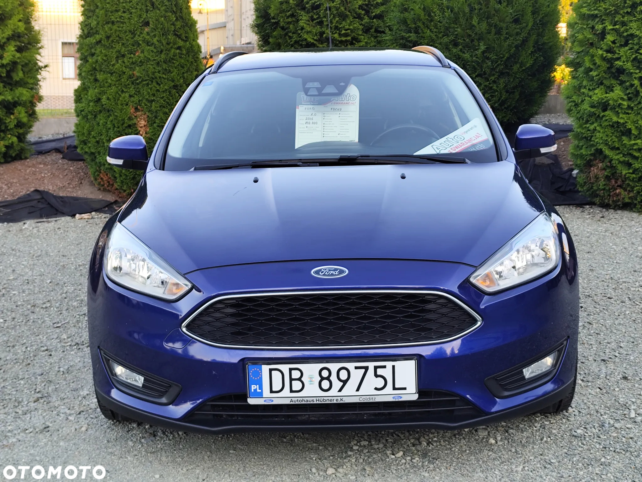 Ford Focus - 7