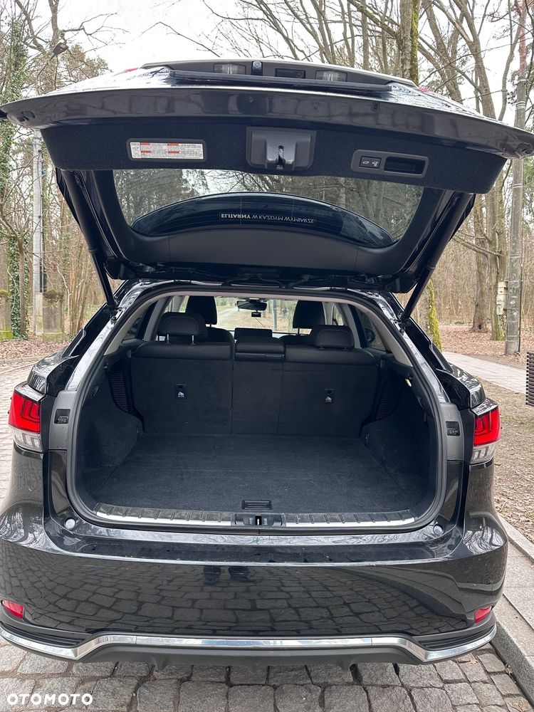 Lexus RX 450h F-Impression - 10