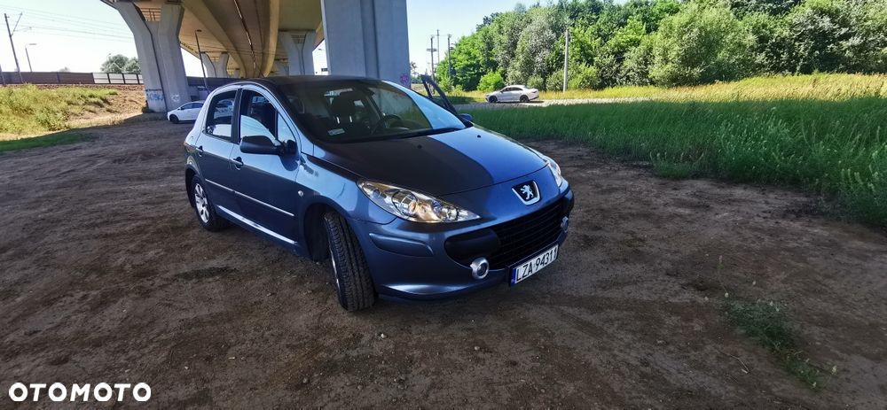 Peugeot 307 - 1