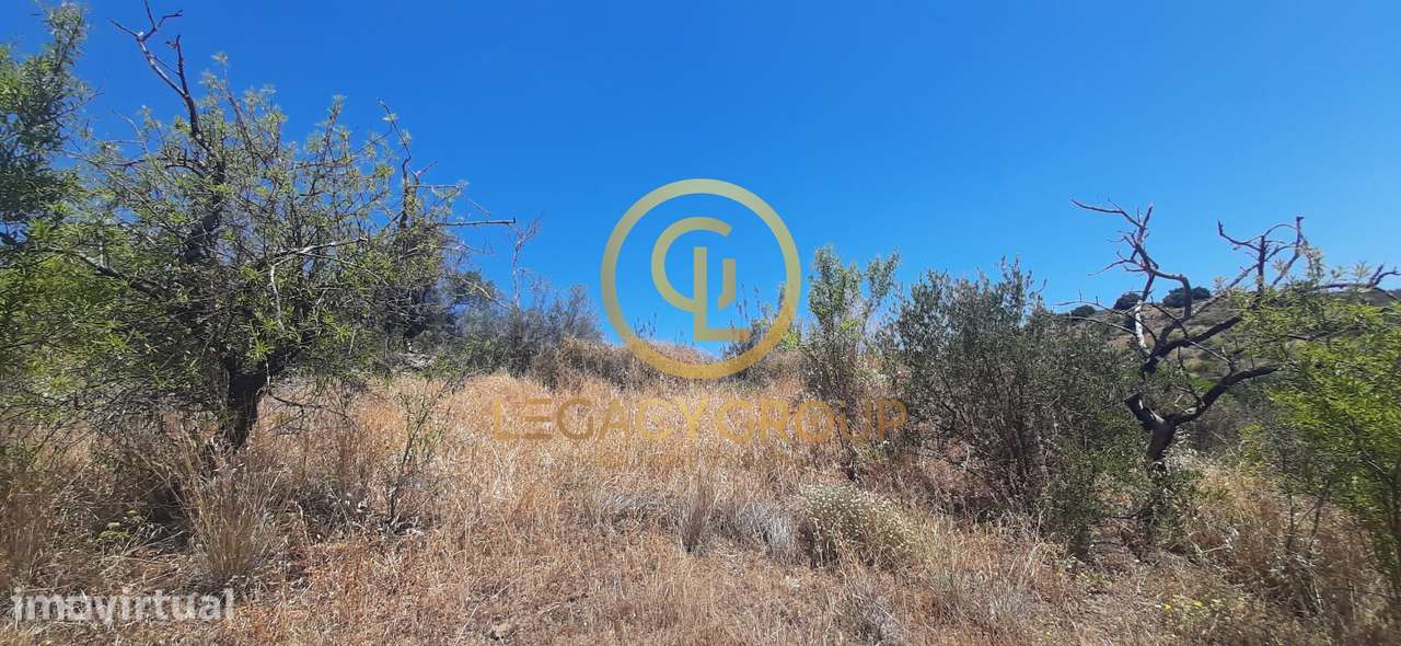 Terreno com Furo e Casa de Apoio junto ao Guadiana – Foz de Odeleite - Grande imagem: 4/13