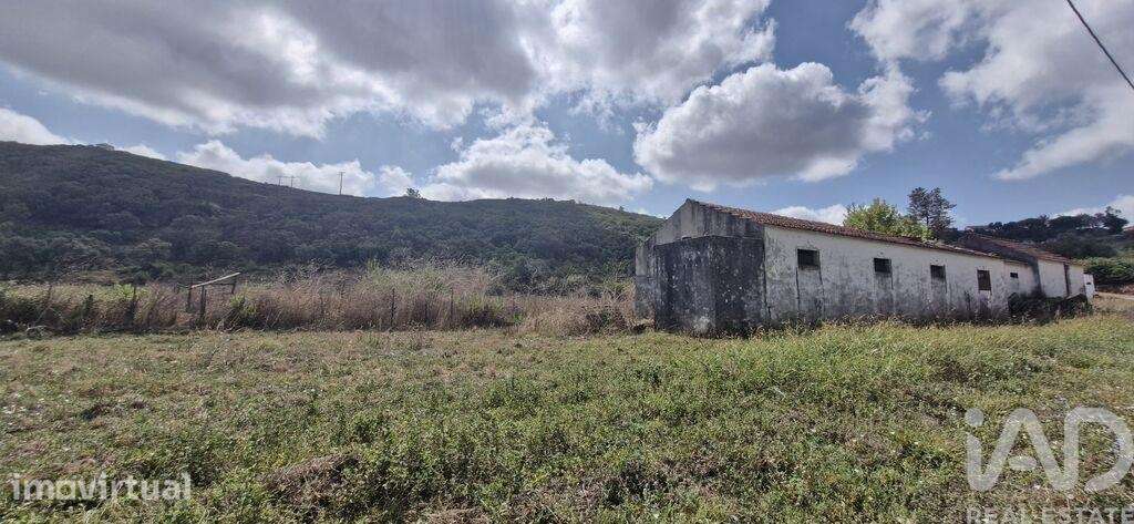 Terreno misto em Rio Maior - Grande imagem: 4/35