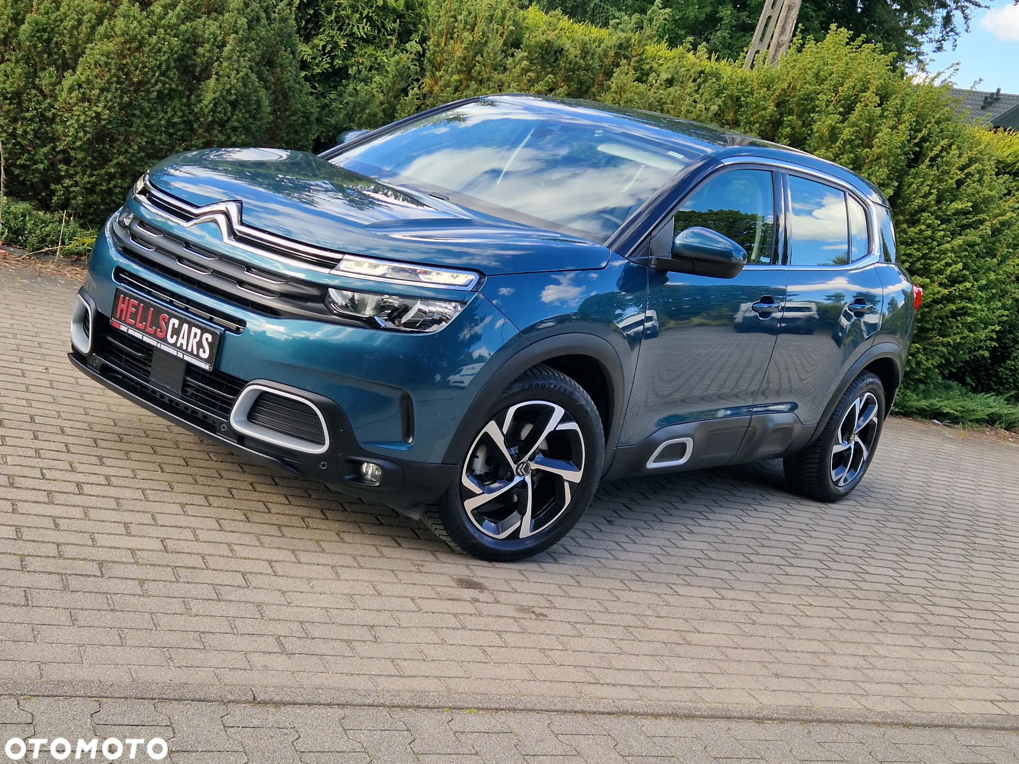 Citroën C5 Aircross BlueHDI 130 S&S EAT8 SHINE - 13