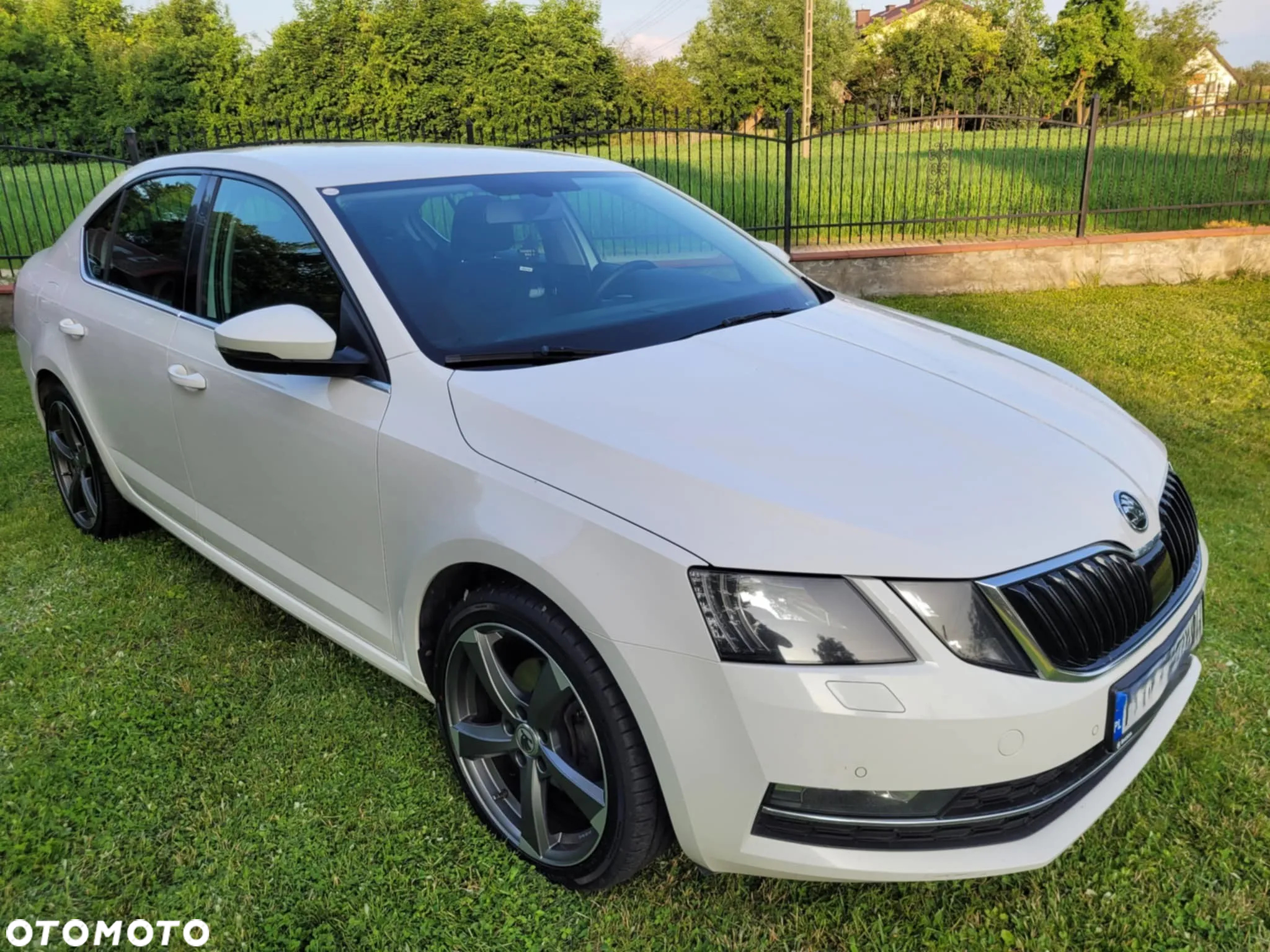 Skoda Octavia - 6