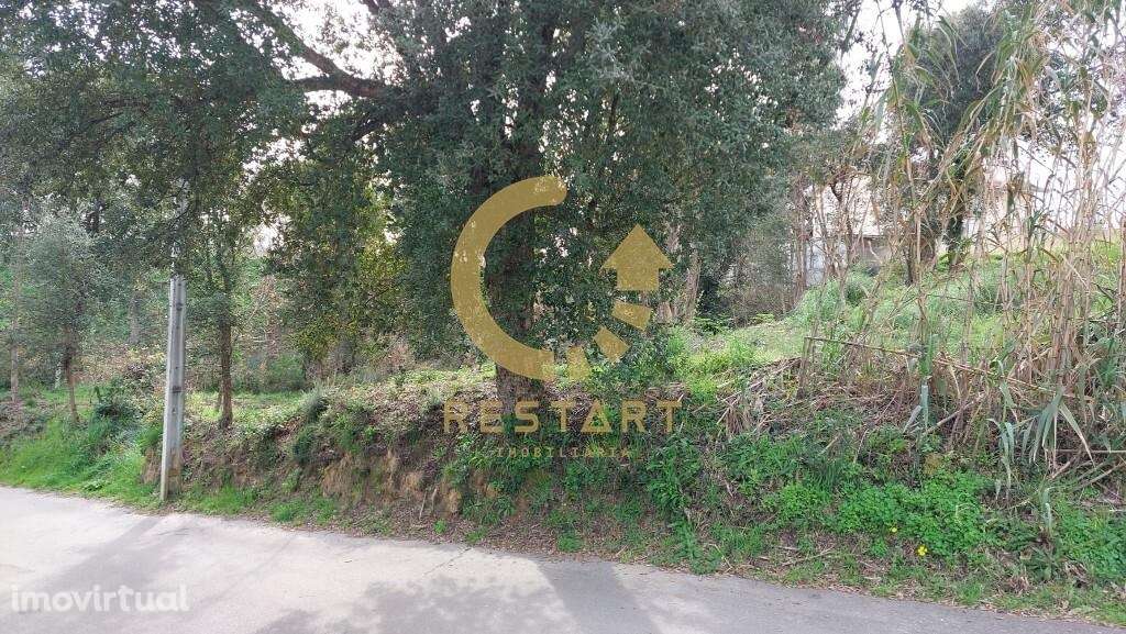 Lotes 901m2 Madalena - Grande imagem: 4/26