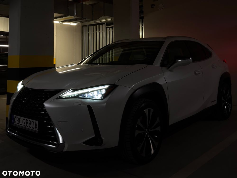 Lexus UX 200 GPF Omotenashi 2WD - 17