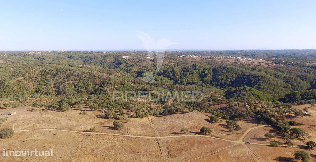 Terreno rustico com 16,85 hectares a 10 minutos de Melides - Grande imagem: 2/12