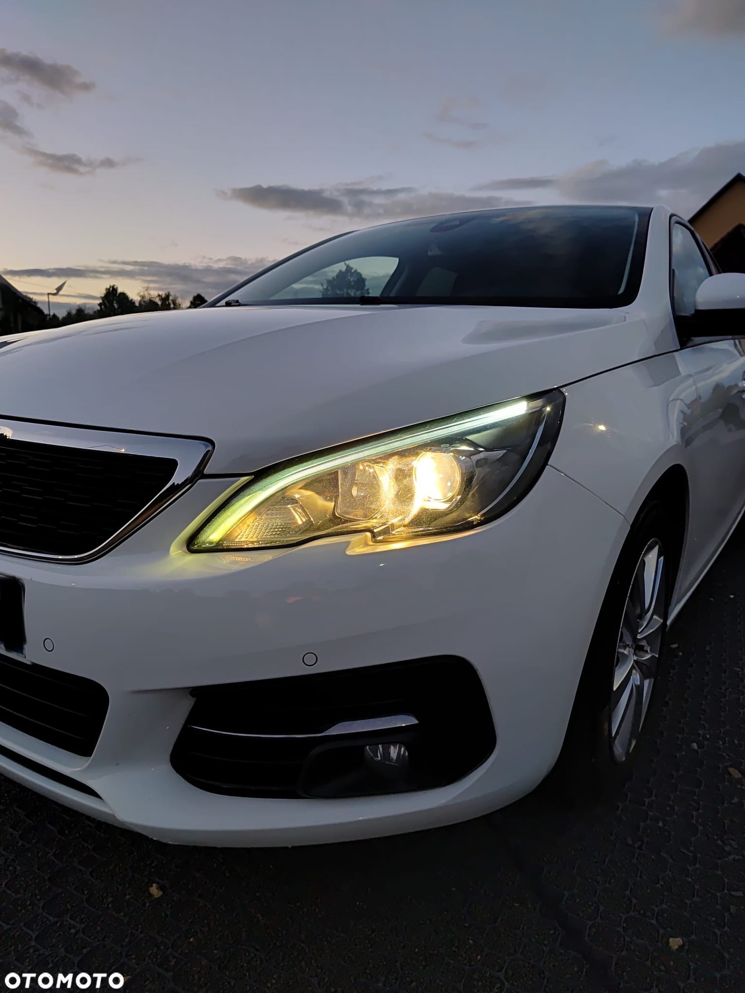 Peugeot 308 1.5 BlueHDi Active S&S EAT8 - 23