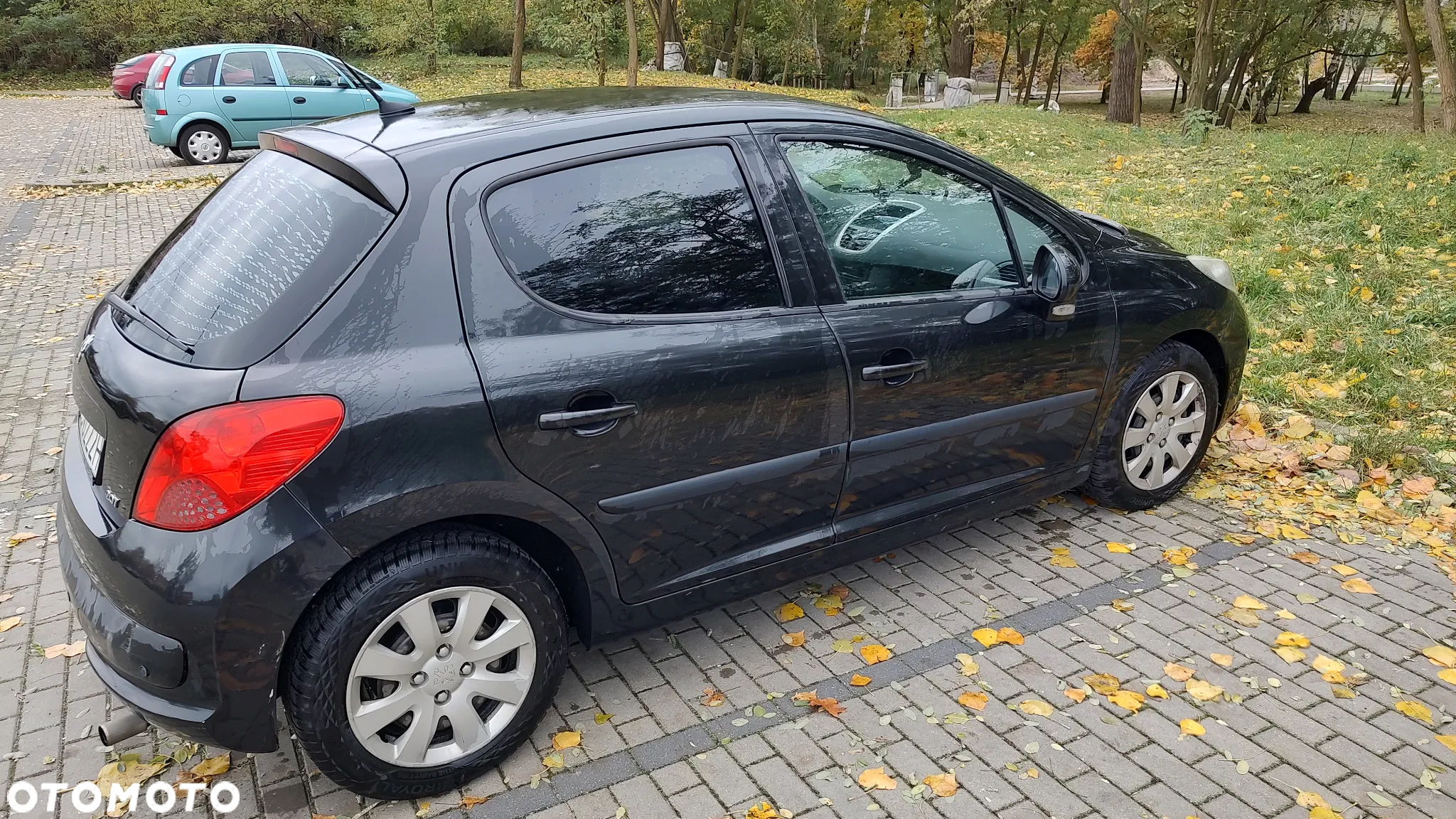 Peugeot 207 - 4