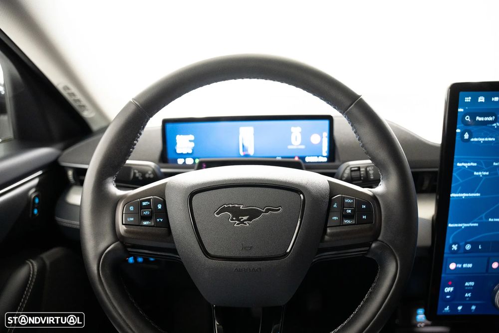 Ford Mustang Mach-E Standard - 17