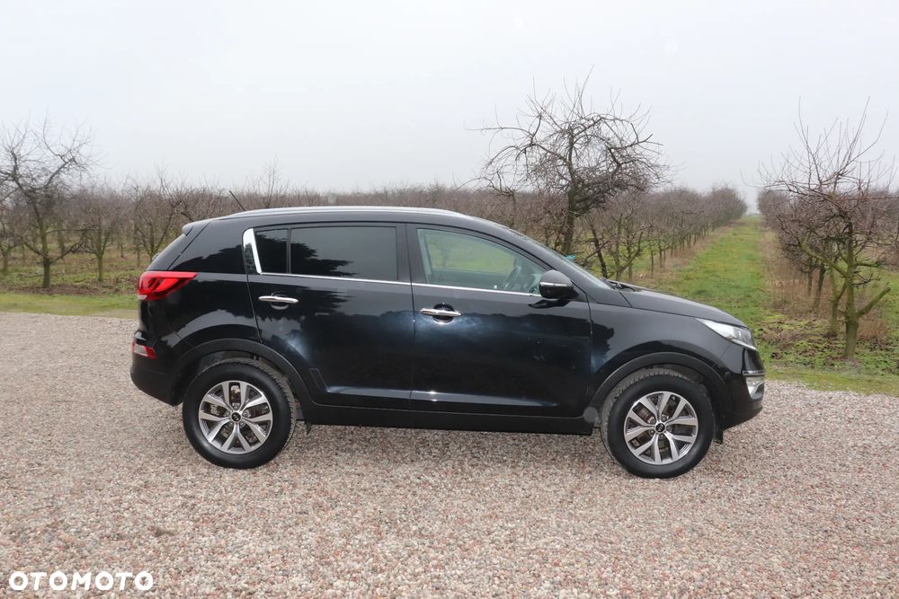 Kia Sportage 1.6 GDI Business Line L 2WD - 7