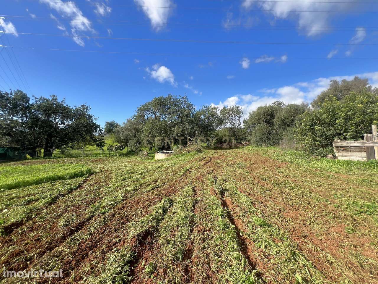 Moradia para remodelação com potencial de ampliação num terreno com 19 - Grande imagem: 5/13