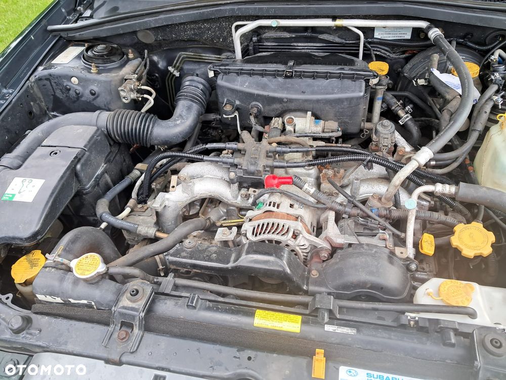 Subaru Forester - 6