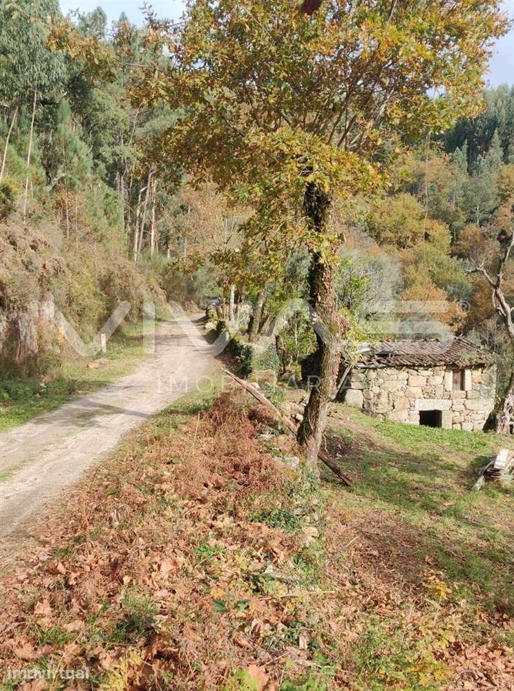 Moradia para Restaurar T1 Venda em Valdosende,Terras de Bouro - Grande imagem: 4/60