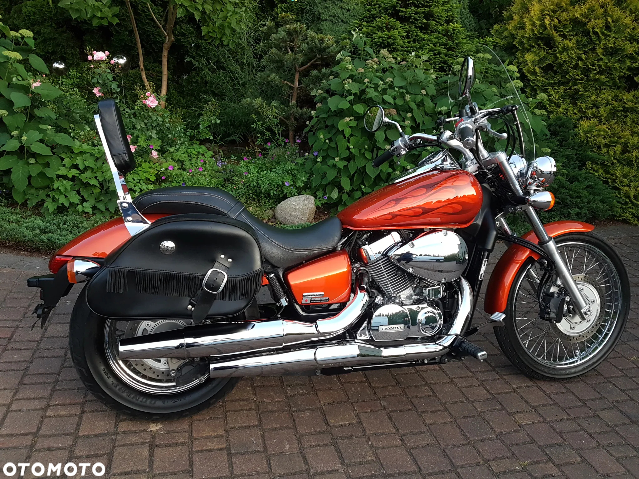 Honda Shadow - 5