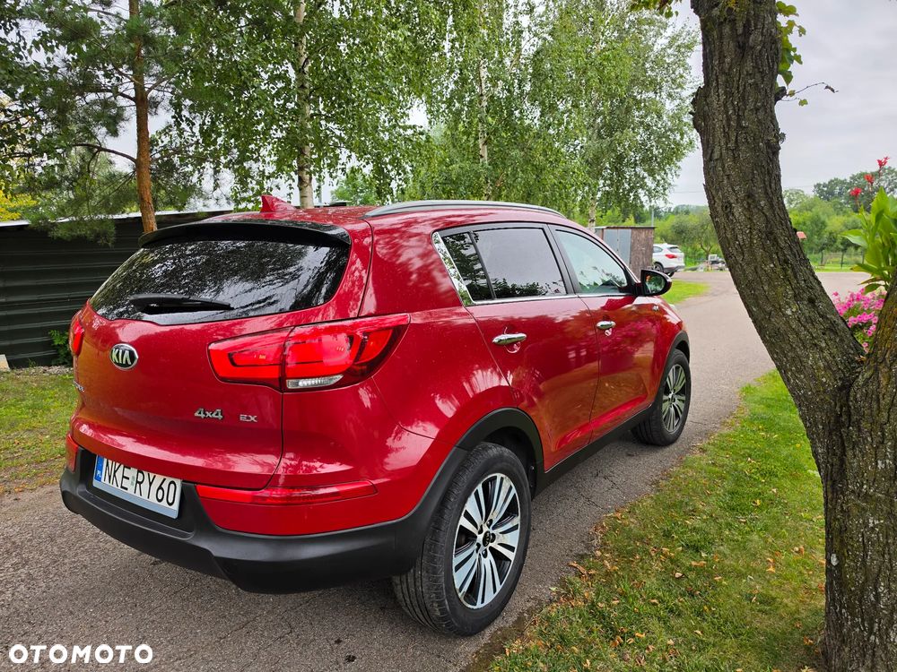Kia Sportage - 25