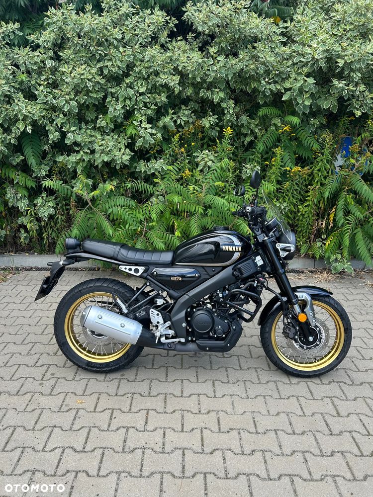 Yamaha XSR - 5