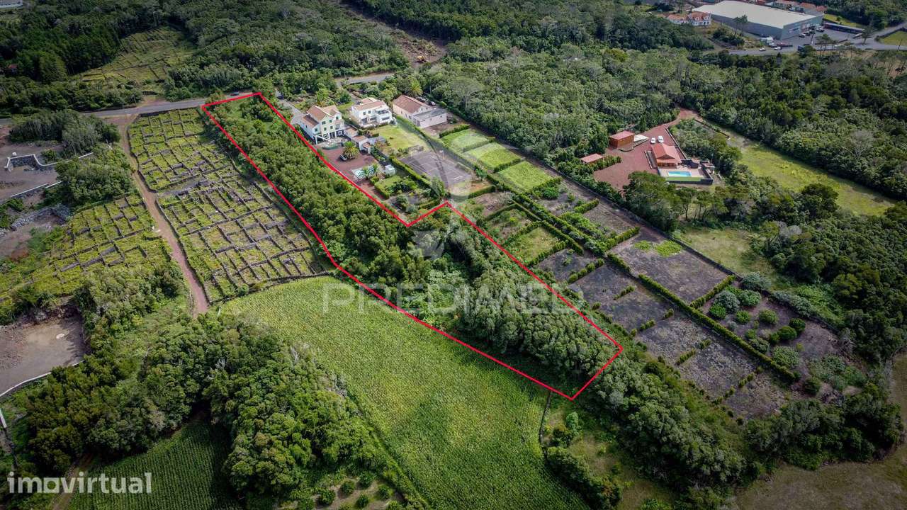 Lote para venda Madalena - Madalena do Pico - Grande imagem: 5/14