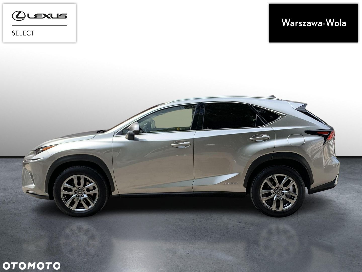Lexus NX - 4