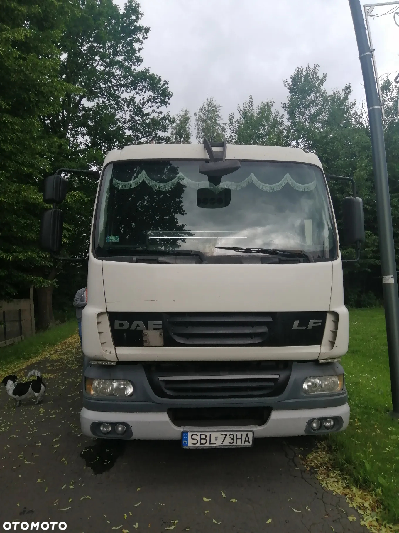 DAF LF 55 - 2