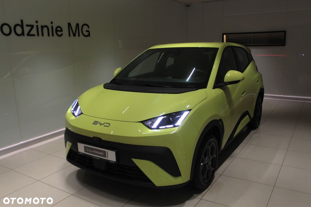 BYD Dolphin Surf - 6