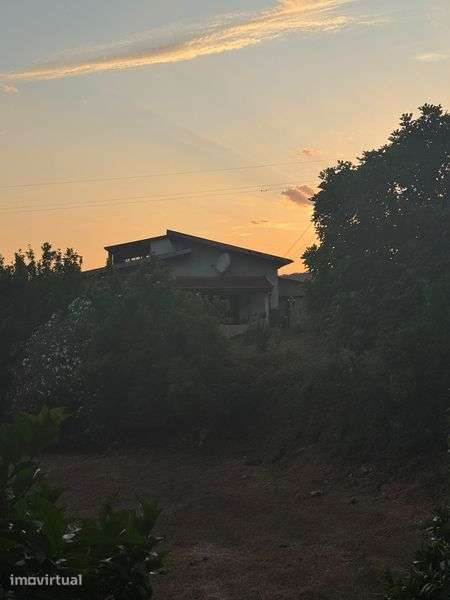 Quinta T5 com 4 hectares - Grande imagem: 3/8
