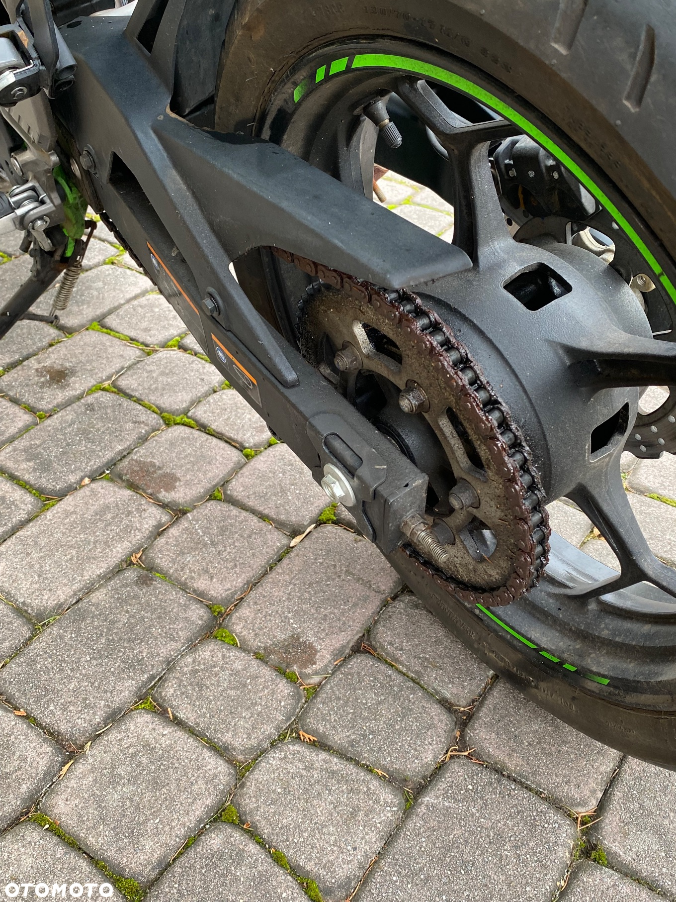 Kawasaki Ninja - 10