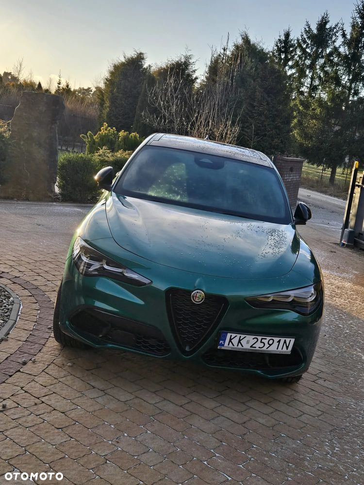 Alfa Romeo Stelvio 2.0 Turbo Veloce Q4 - 5