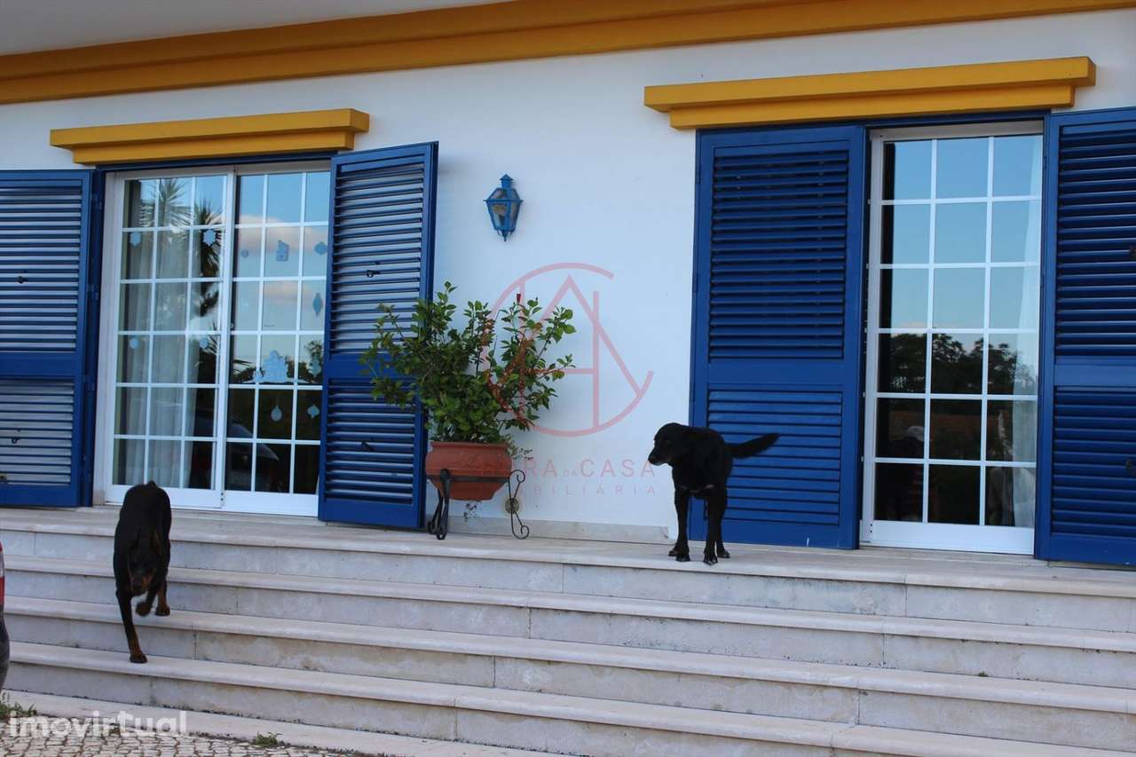 Quinta Moradia T6 inserida em lote com 13.630 m2 em Alhos Vedros – M - Grande imagem: 2/39