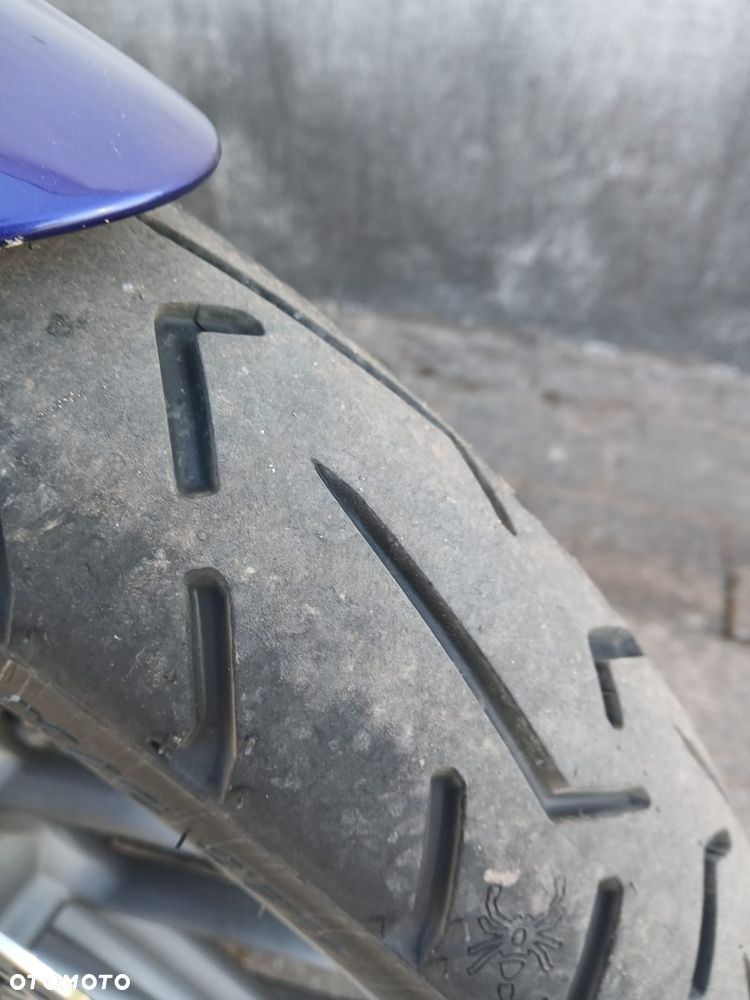 Triumph Tiger - 8